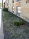 Front of Immanuel School
